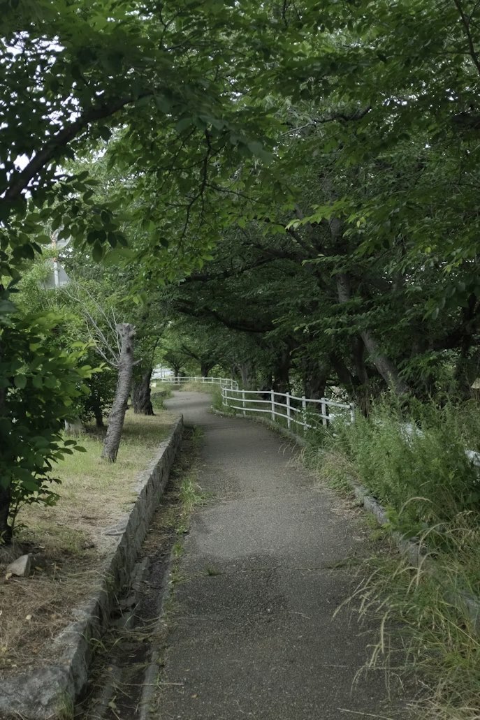 Why Walk & Talk Therapy Works — The Science of Moving and Healing